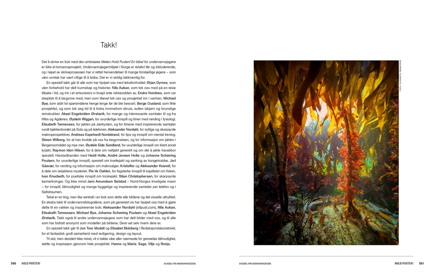 Hold pusten! En bibel for undervannsjegere