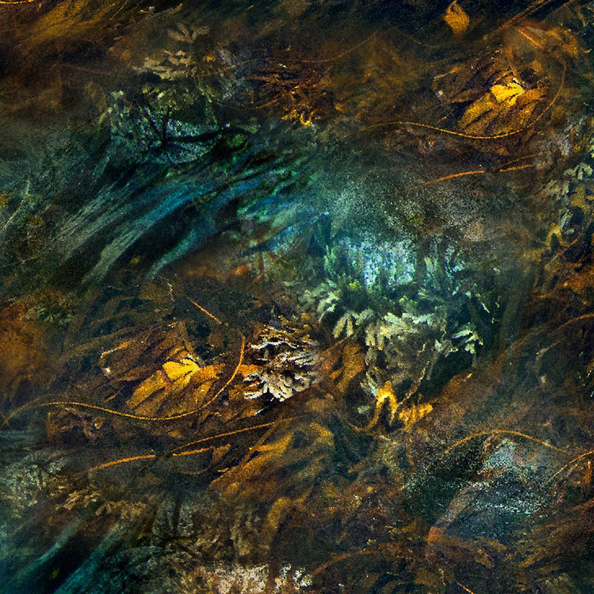 Frivannsliv® EVO 3 Nordic Premium 5mm våtdrakt