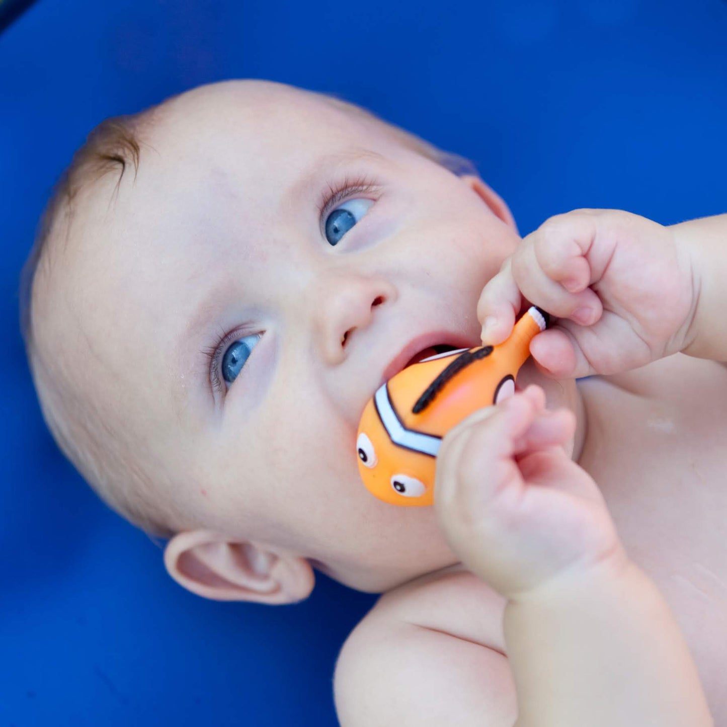 Konfidence klovnefisk badeleke