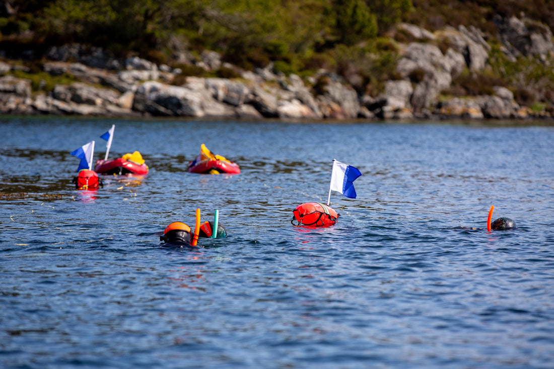 Fridykkerbøye og flåte - hva er forskjellen?