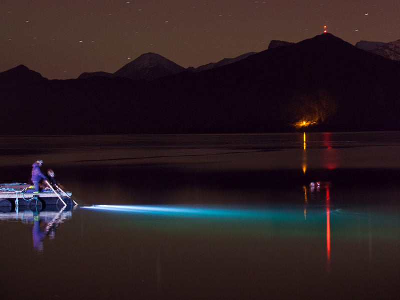 Det er mørke kvelder og tid for nattdykking