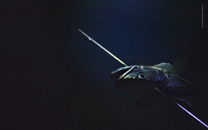 Hold pusten! En bibel for undervannsjegere