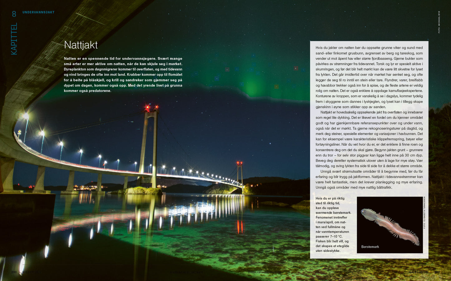 Hold pusten! En bibel for undervannsjegere