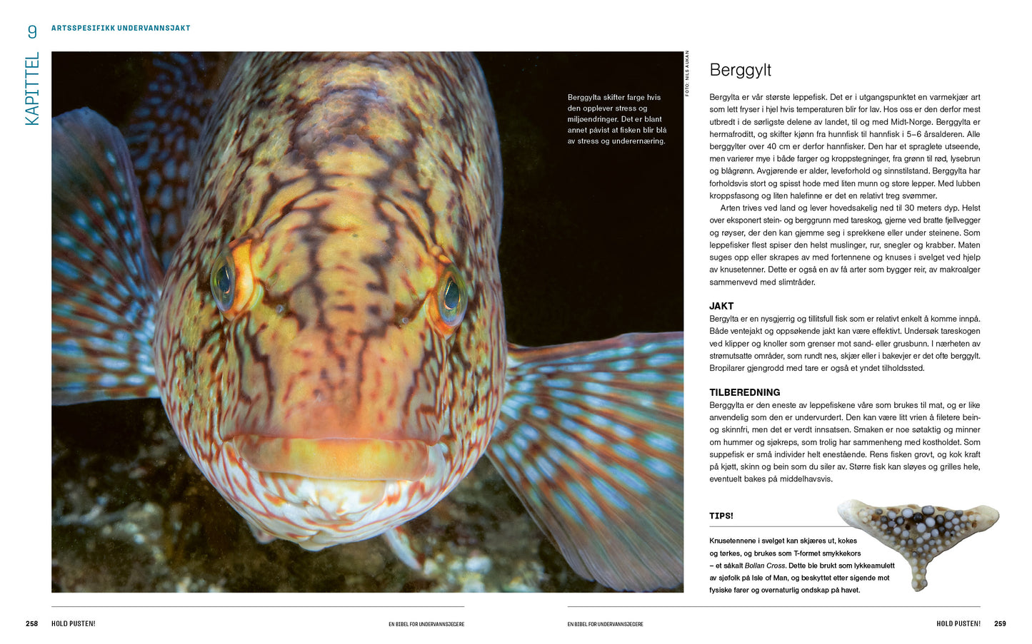 Hold pusten! En bibel for undervannsjegere