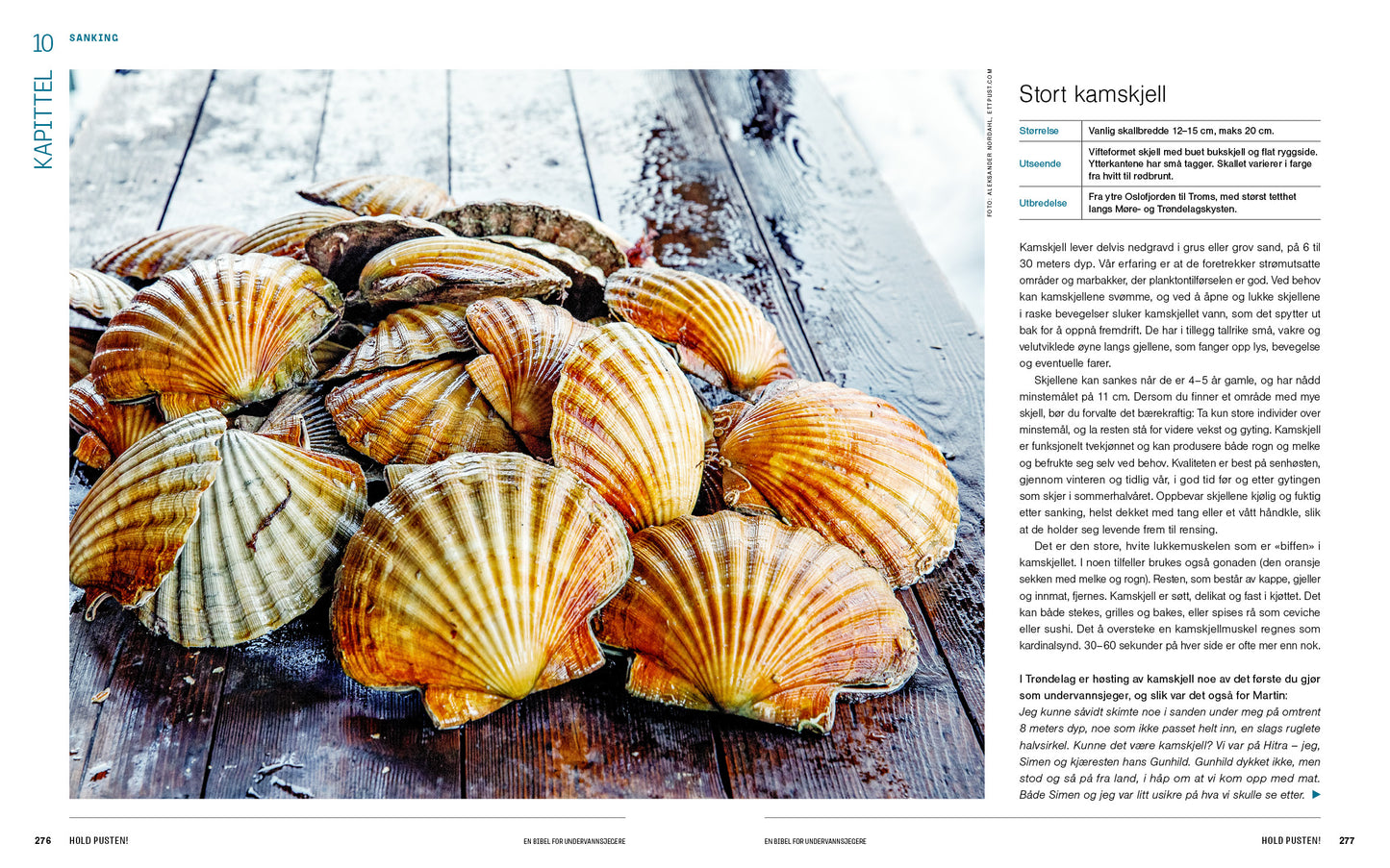 Hold pusten! En bibel for undervannsjegere