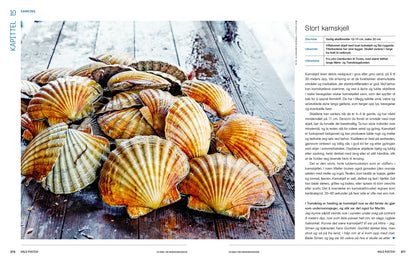 Hold pusten! En bibel for undervannsjegere