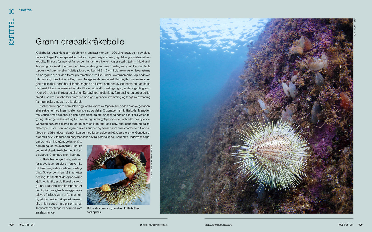 Hold pusten! En bibel for undervannsjegere