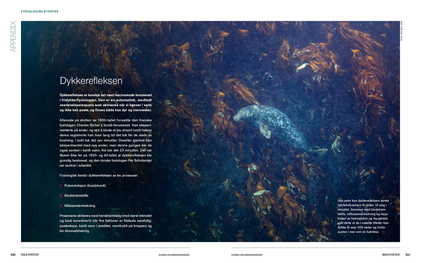 Hold pusten! En bibel for undervannsjegere