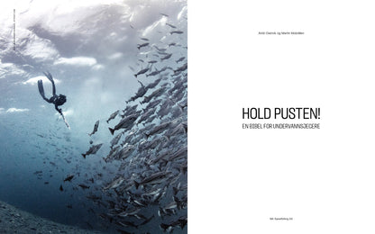 Hold pusten! En bibel for undervannsjegere