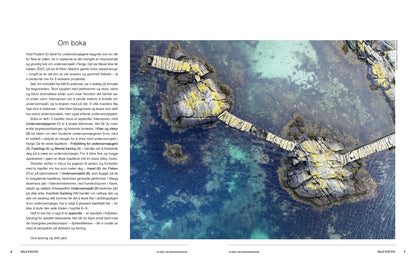 Hold pusten! En bibel for undervannsjegere