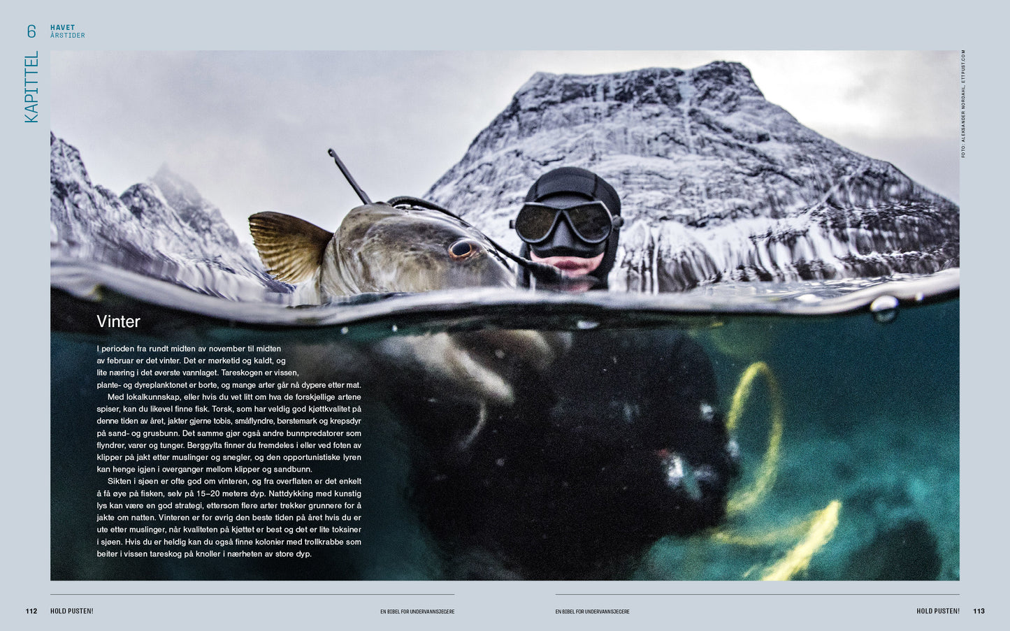 Hold pusten! En bibel for undervannsjegere