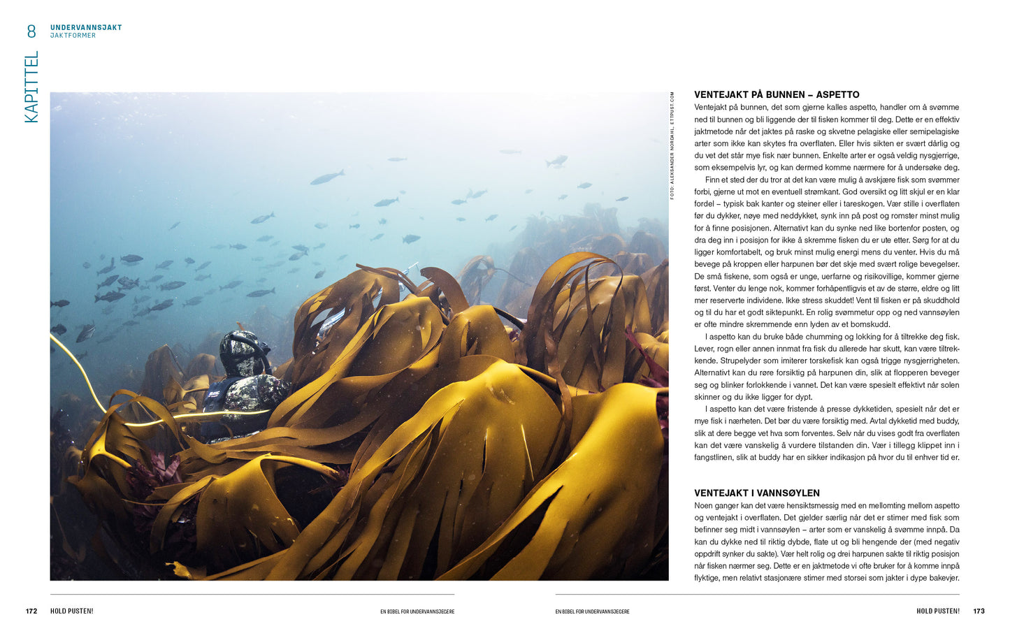 Hold pusten! En bibel for undervannsjegere