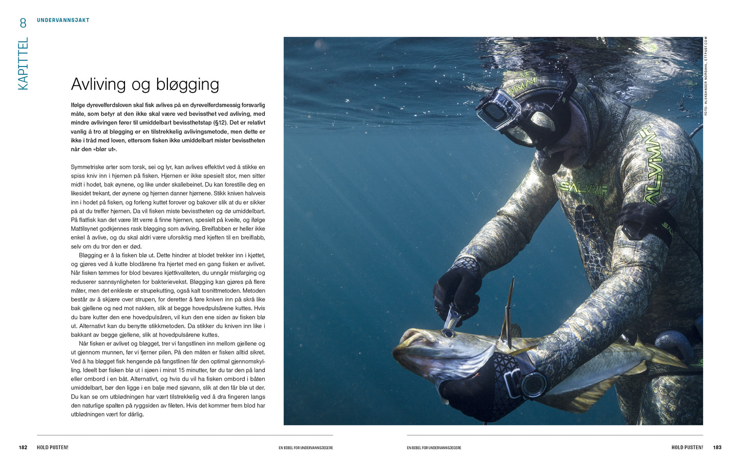 Hold pusten! En bibel for undervannsjegere