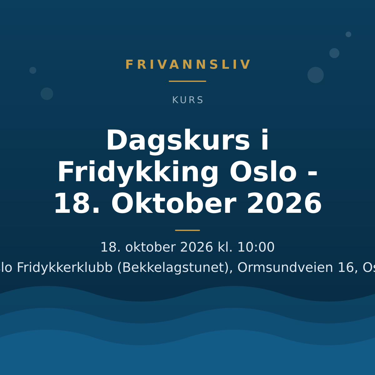 Dagskurs i Fridykking Oslo - 18. Oktober 2026