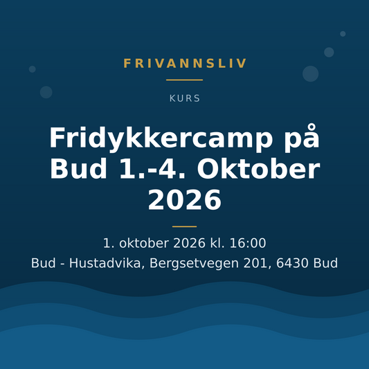 Fridykkercamp på Bud 1.-4. Oktober 2026